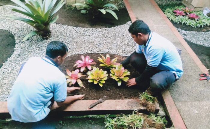 jasa perawatan taman rumah terbaik di jakarta manfaat sekam bakar untuk tanaman tips menata taman depan rumah