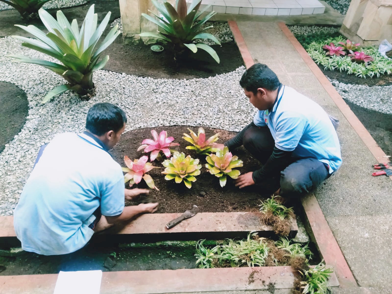 jasa perawatan taman rumah terbaik di jakarta manfaat sekam bakar untuk tanaman tips menata taman depan rumah