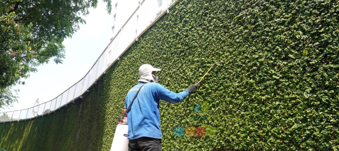 jasa tukang taman gardening service 2