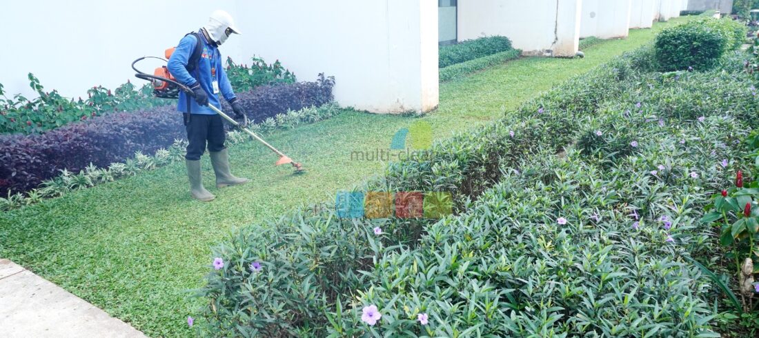 jasa tukang taman gardening service 5
